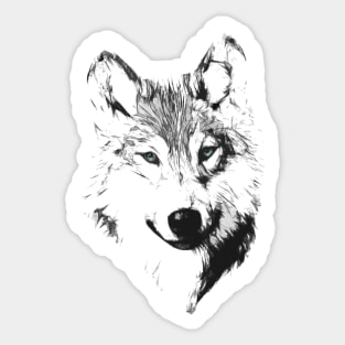 Arctic Wolf - Contemplation Sticker